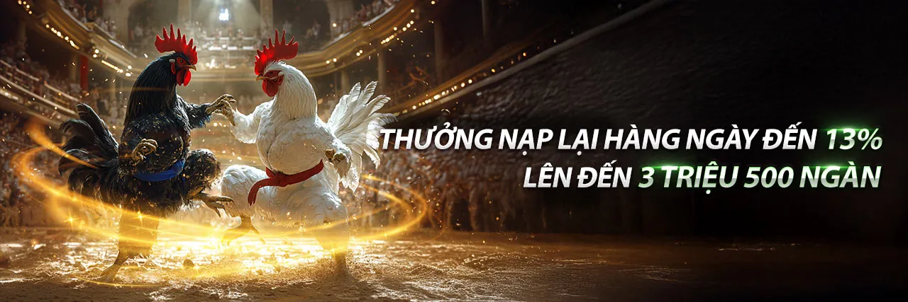 Cá Cược Thể Thao VZ88.COM