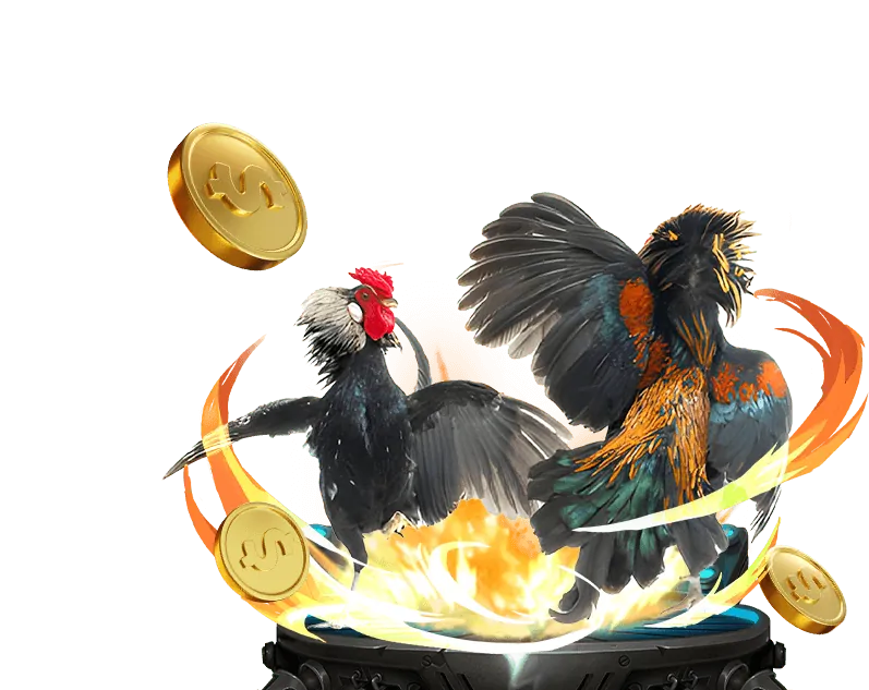 Các loại tiền thưởng cá cược phổ biến tại đá gà trực tiếp casino hôm nay